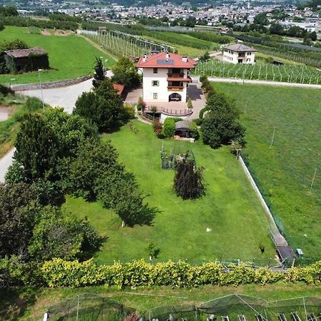 Il Gallo Pergine Valsugana Eksteriør bilde